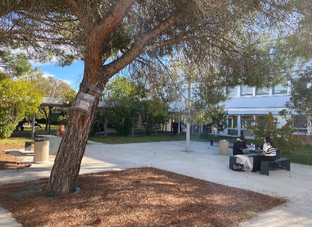 Photo du Lycée JBaker